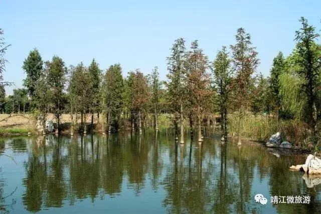 微靖江是哪个城市,江苏泰州靖江牧城公园四周风景好