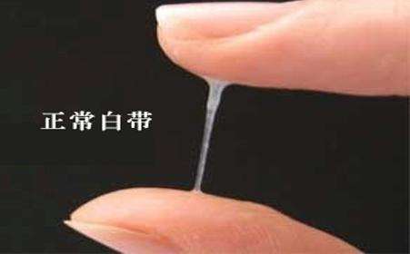 医生告诉你怀孕的五大信号,备孕的6大预兆