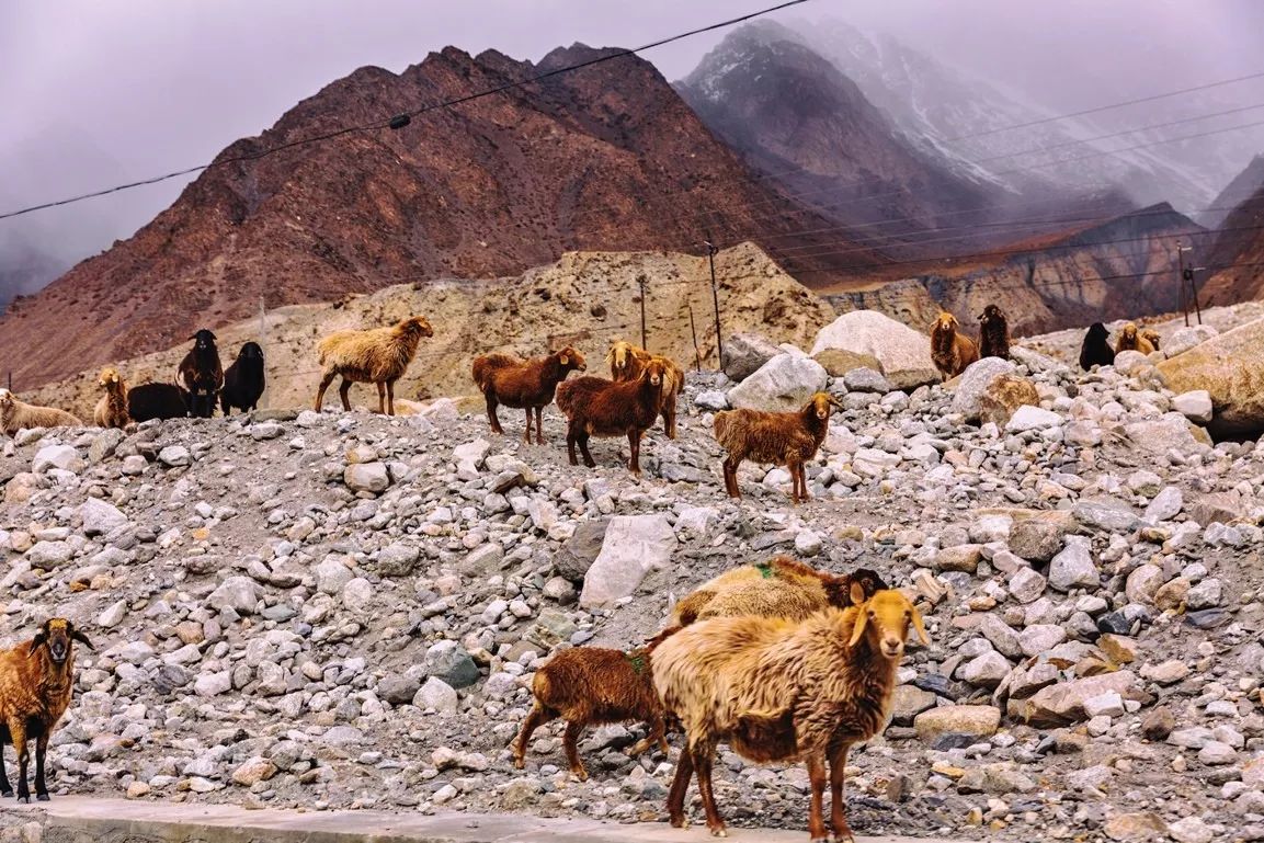 新款东风启辰t90测评,人生第一辆车东风启辰t90