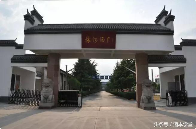 商丘人喝商丘酒,商丘人喝胡辣汤