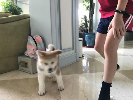 娱乐圈直男拍照的渣技术，李亚鹏赵又廷王珂李晨上榜