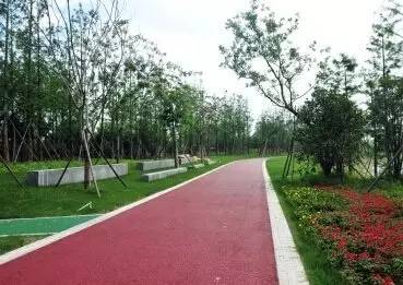 半程马拉松的达成及过程中的减伤！建议跑步的都看看，特别初跑者