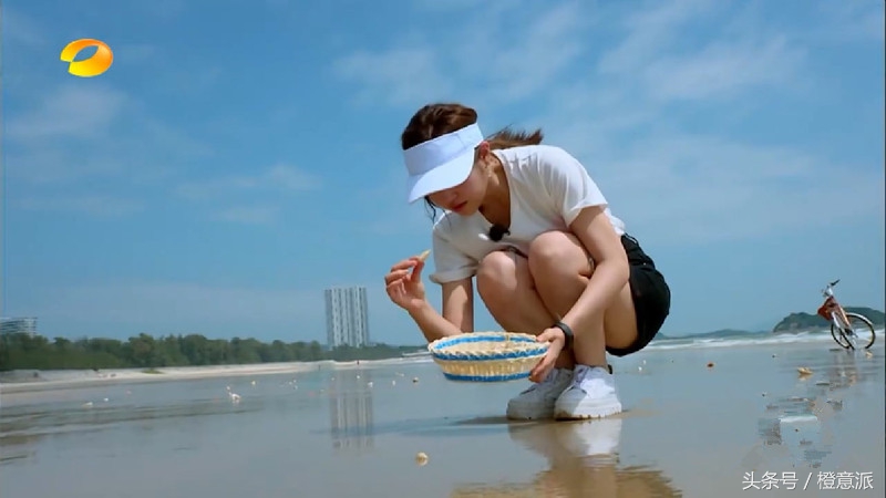 青春不散场第三曲,青春不散场我们大学见番外大结局