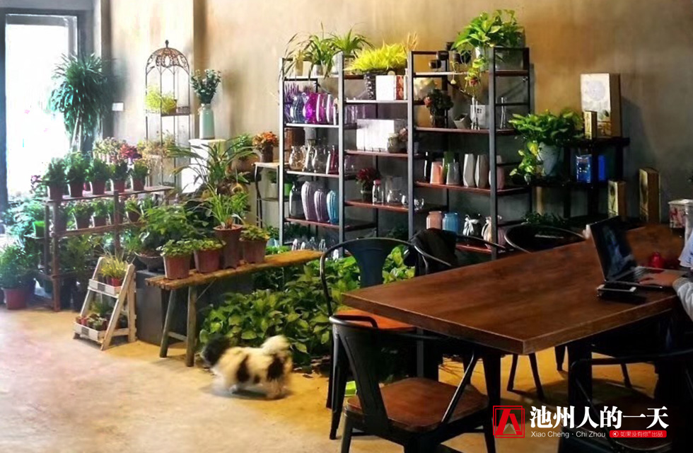 学习花艺多久可以成为花艺师,零基础入门如何学花艺做花艺师