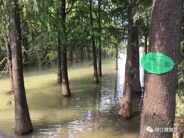 微靖江是哪个城市,江苏泰州靖江牧城公园四周风景好