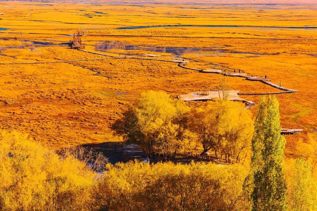 新款东风启辰t90测评,人生第一辆车东风启辰t90