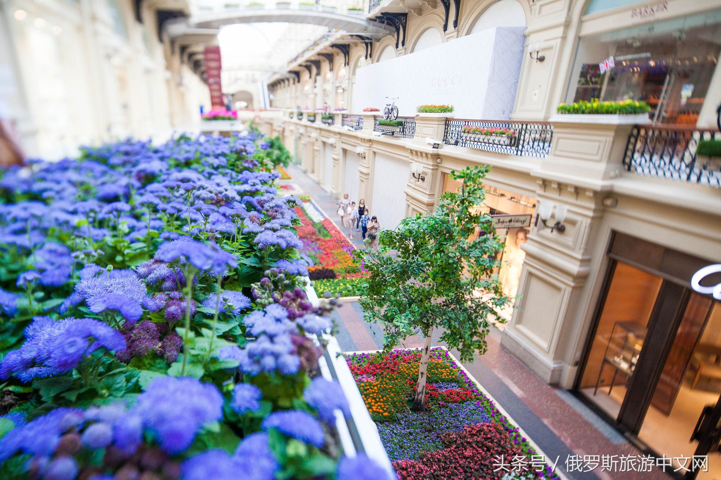 走，带你去俄罗斯最好的商场逛逛逛、买买买、吃吃吃~