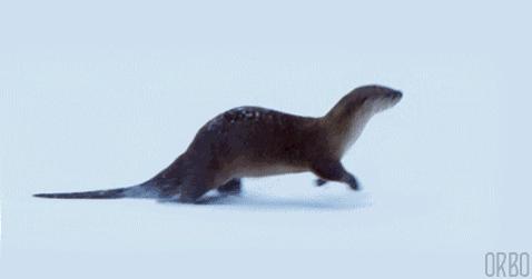 设计师有逼格的衣服,设计大咖有哪些独特之处