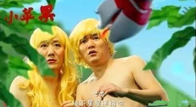 筷子兄弟演过什么电影,筷子兄弟演过几部电影