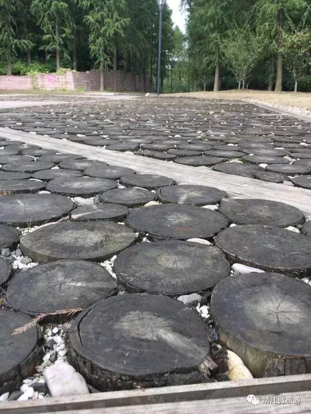 微靖江是哪个城市,江苏泰州靖江牧城公园四周风景好