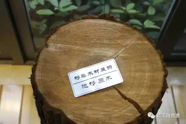 微靖江是哪个城市,江苏泰州靖江牧城公园四周风景好