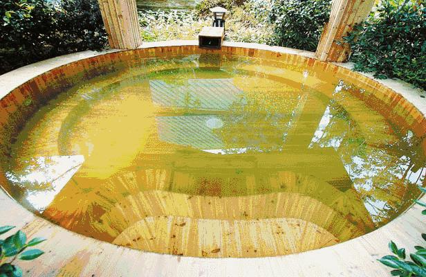 适合儿童去玩的恐龙世界,小孩都爱去的恐龙园