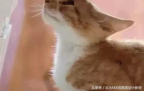 每个人都应该住的更好!25㎡最窄处只有0.2m的奇葩纸片屋