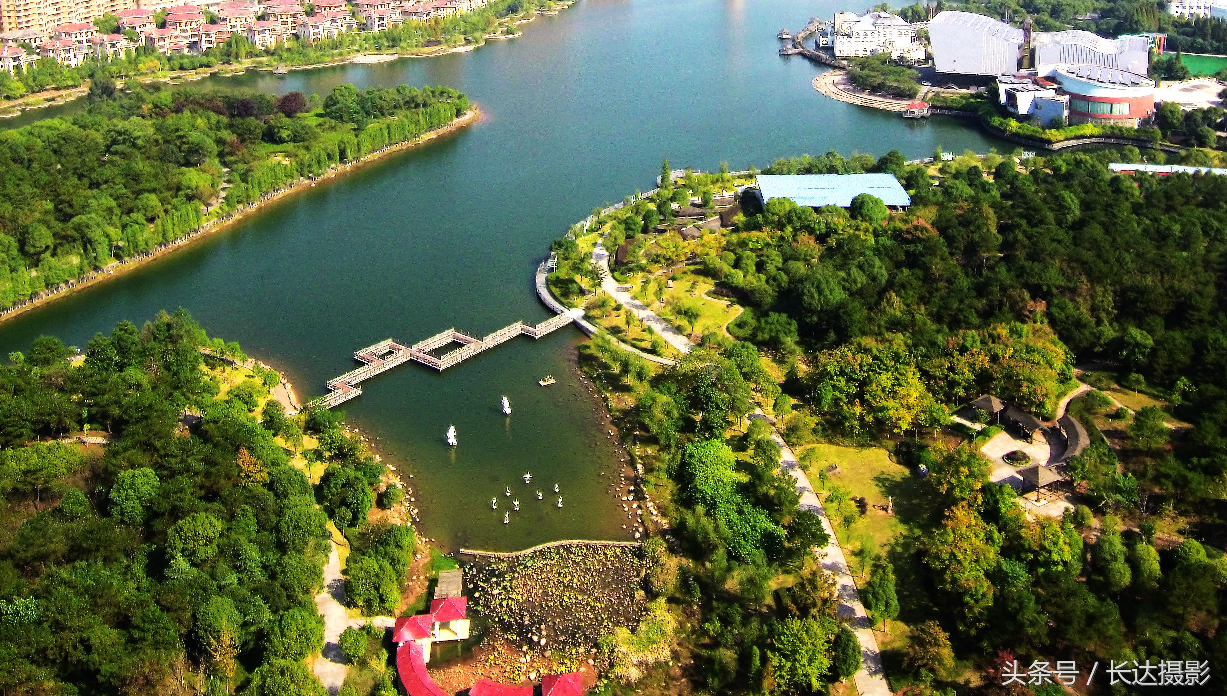 新余航拍最新视频,新余国家森林城市