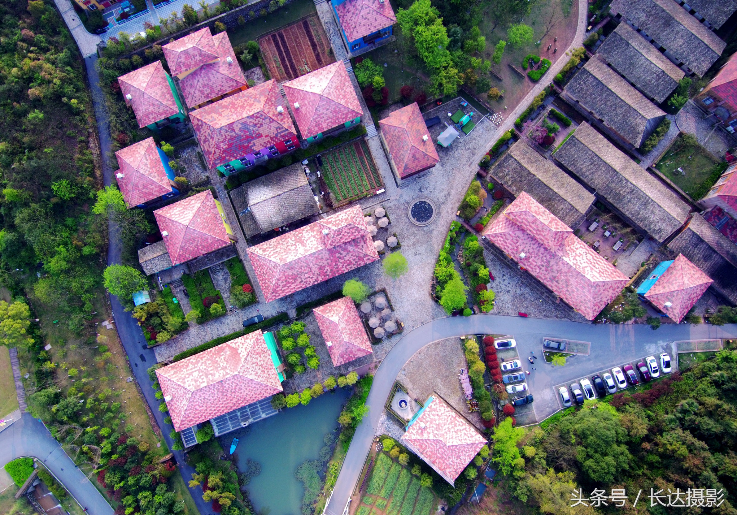 新余航拍最新视频,新余国家森林城市