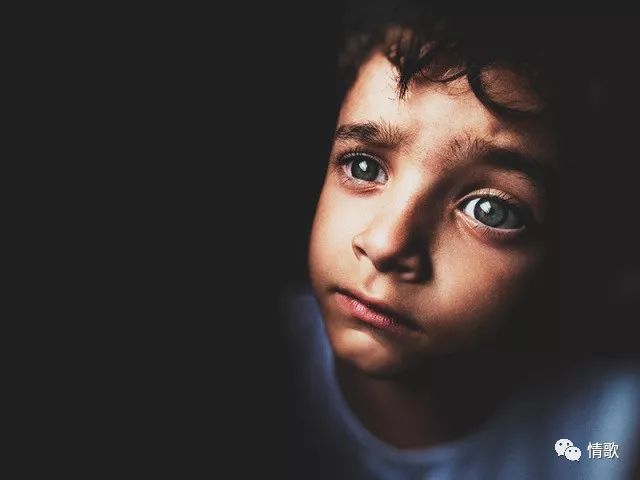 手机摄影教程丨手机摄影系列课程几款APP瞬间让照片提升几个档次