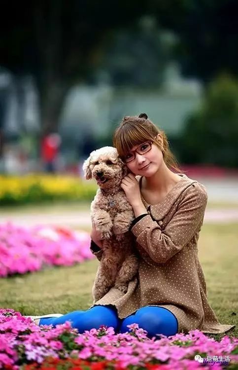 识别狗狗异常情绪动作视频讲解,狗狗行为异常是怎么回事