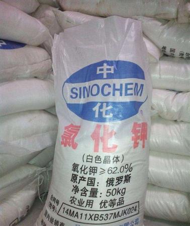 红日商学院——作物缺氯会怎么样？