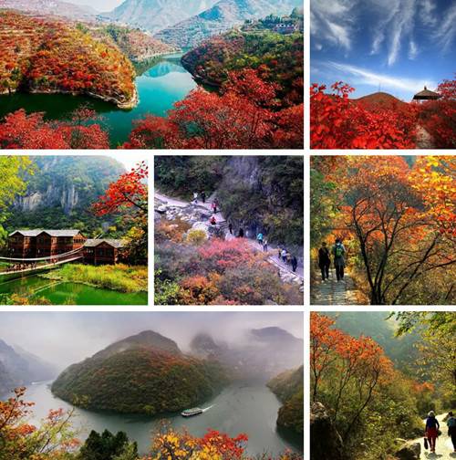 青天河靳家岭赏红叶攻略,上海青天河红叶最佳观赏时间