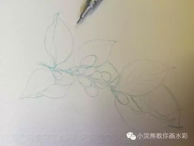 自从学会了植物色彩搭配,再也不用担心不会画植物了!