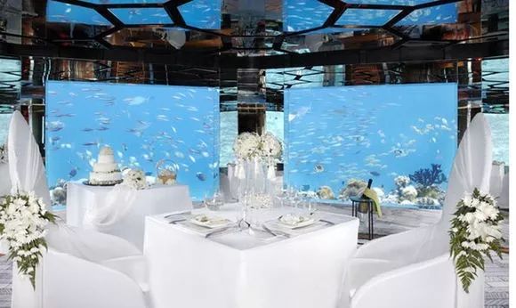 马尔代夫水下餐厅,马尔代夫水下餐厅最后四家免费