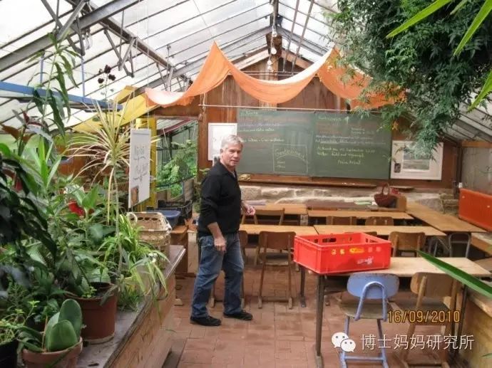 华德福蒙台梭利瑞吉欧教育理念,蒙台梭利华德福瑞吉欧