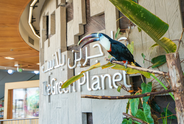 在迪拜不能做的五件事,迪拜护肤品购物清单