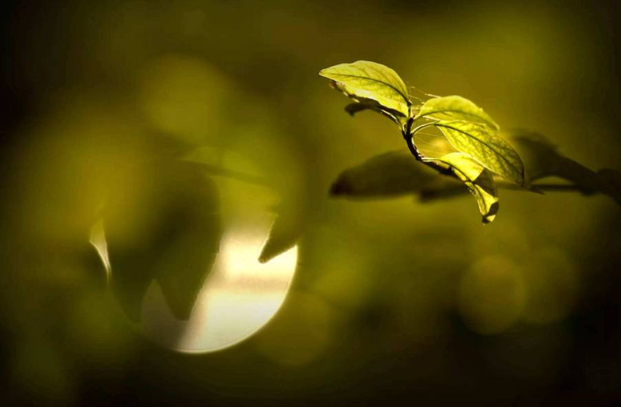 怀念当年风采的古诗词,怀念过往时光的古诗词