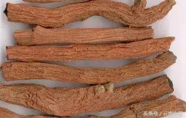 仅有简单5味药却能治上千种病,65种经典药对照表