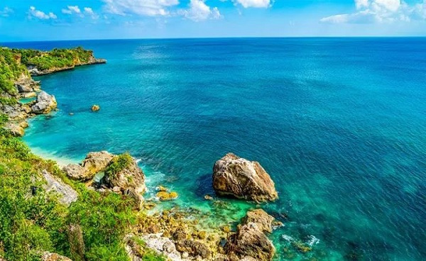 正宗印尼燕窝推荐,印尼好的即食燕窝