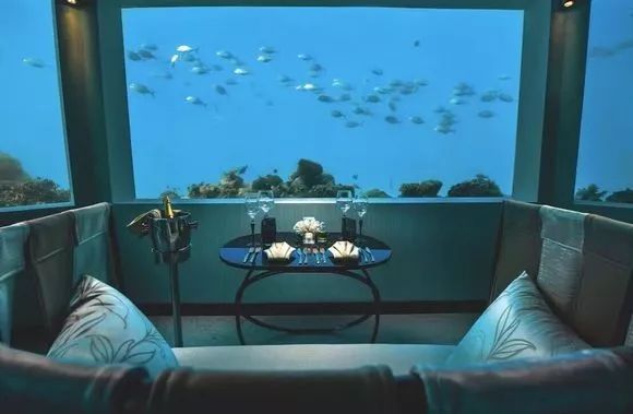 马尔代夫水下餐厅,马尔代夫水下餐厅最后四家免费