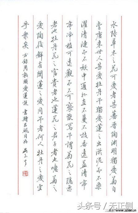 邹慕白书法作品欣赏硬笔书法,顾仲安的书法欣赏