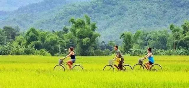 清远英德溶洞温泉度假村,英德奇洞温泉旅游攻略