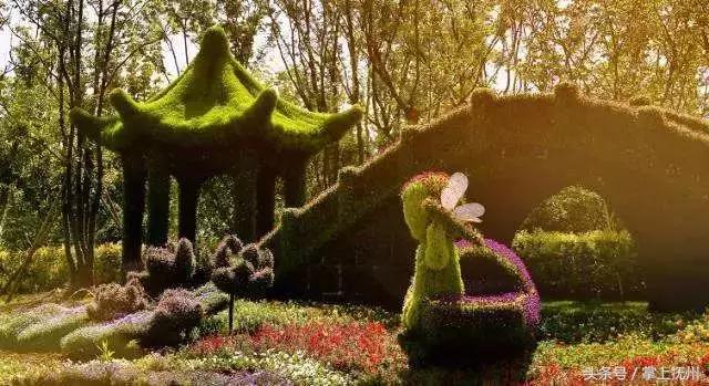 只有抚州话过了八级的人才能看懂！你看懂几个？