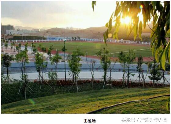 深圳科学高中近几年招生情况,2022深圳科学高中一模排名