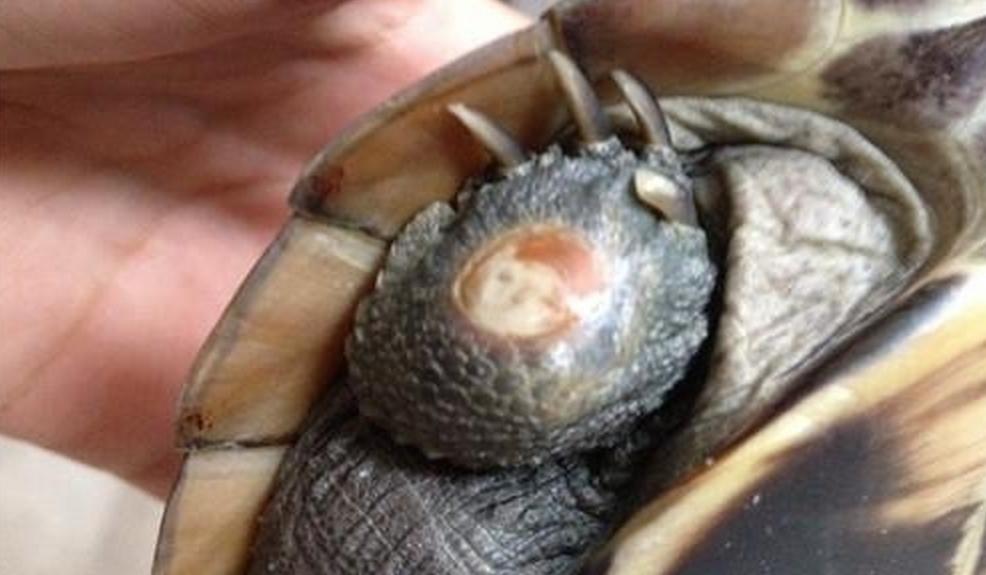 总结一些小病的治疗方法