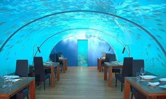 马尔代夫水下餐厅,马尔代夫水下餐厅最后四家免费