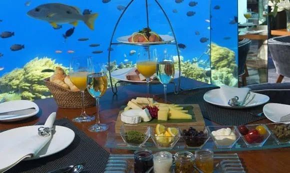 马尔代夫水下餐厅,马尔代夫水下餐厅最后四家免费