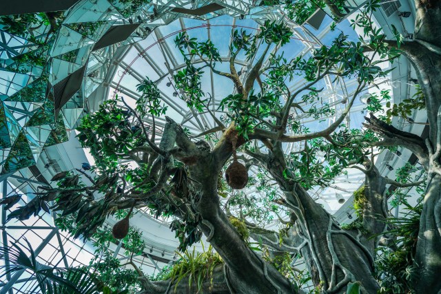 在迪拜不能做的五件事,迪拜护肤品购物清单