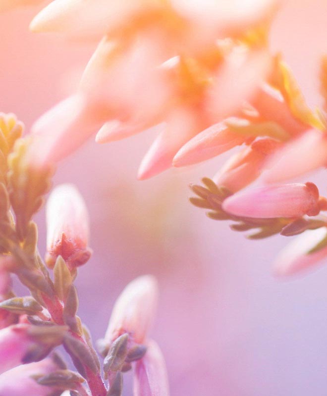 默默的爱一个人无论见与不见,我默默的深爱着你不管见与不见