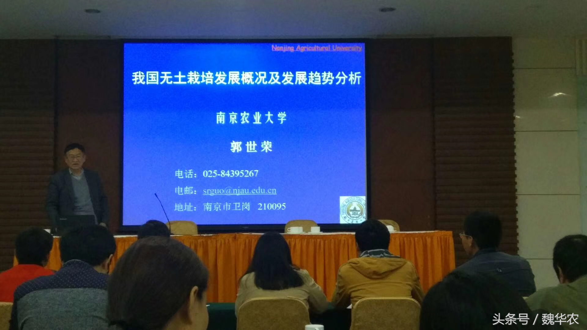 无土栽培家庭蔬菜种植方案怎么写,潮汐虹吸无土栽培蔬菜技术视频