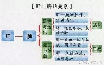 百病从肝治一书怎么样,百病从肝治视频