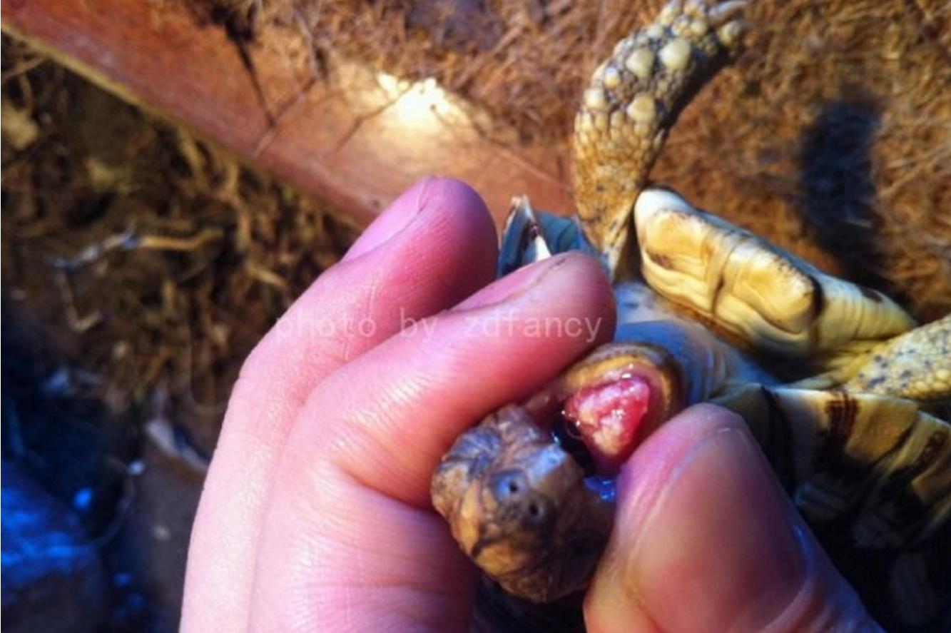 总结一些小病的治疗方法