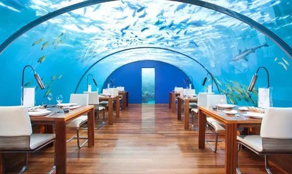 马尔代夫水下餐厅,马尔代夫水下餐厅最后四家免费