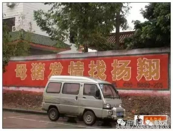 海大通威新希望六和,海大新希望通威饲料