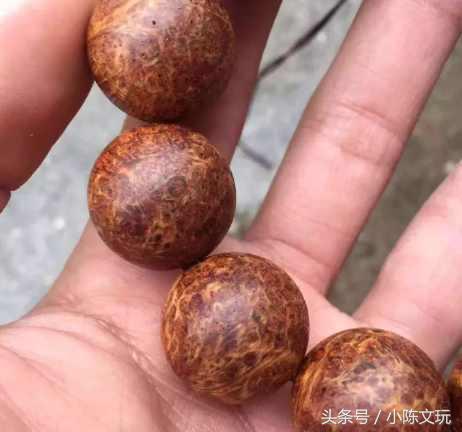 怎样使崖柏瘤疤手把件不开裂,崖柏生料怎么处理可以不开裂