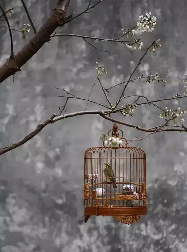 尚佐文,尚佐文演讲视频