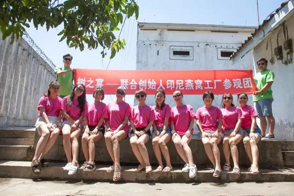 正宗印尼燕窝推荐,印尼好的即食燕窝