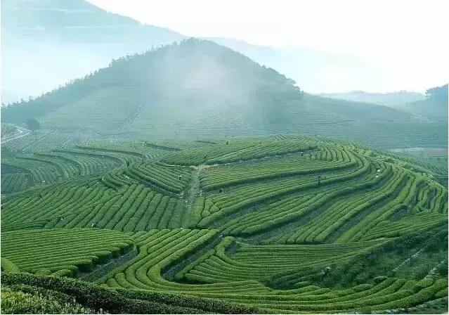 清远英德溶洞温泉度假村,英德奇洞温泉旅游攻略