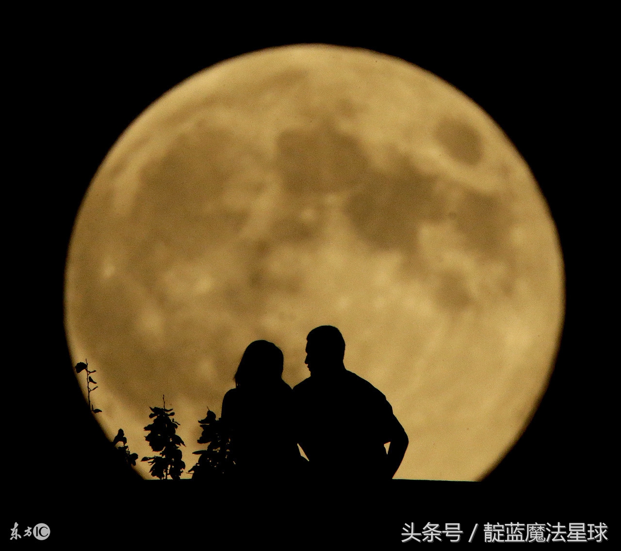 想不想像哈利波特一样施魔法?